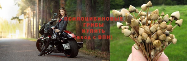 jwh Абаза