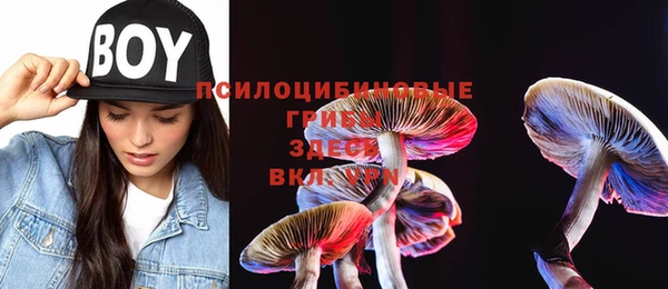 прущая мука Абдулино