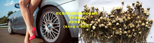 jwh Абаза