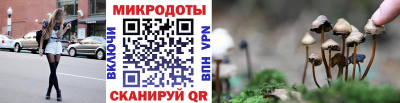 Псилоцибиновые грибы мицелий  Нижнекамск 